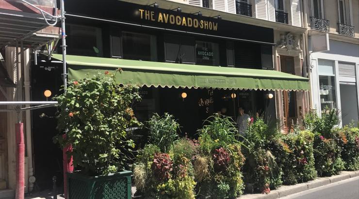 The Avocado Show installe sa première adresse française lifestyle à Paris