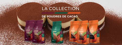 Poudres Cacao Barry